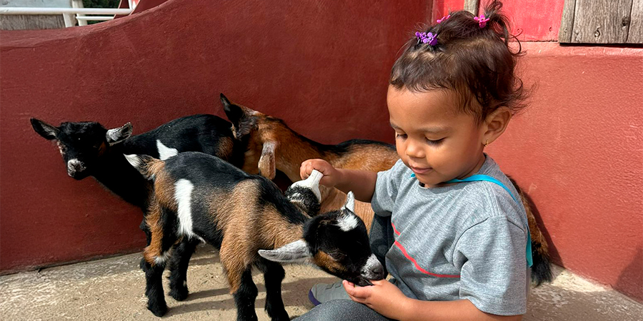 menina com animais 